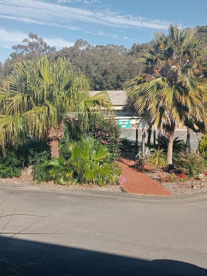 Forster Palms Motel Luaran gambar