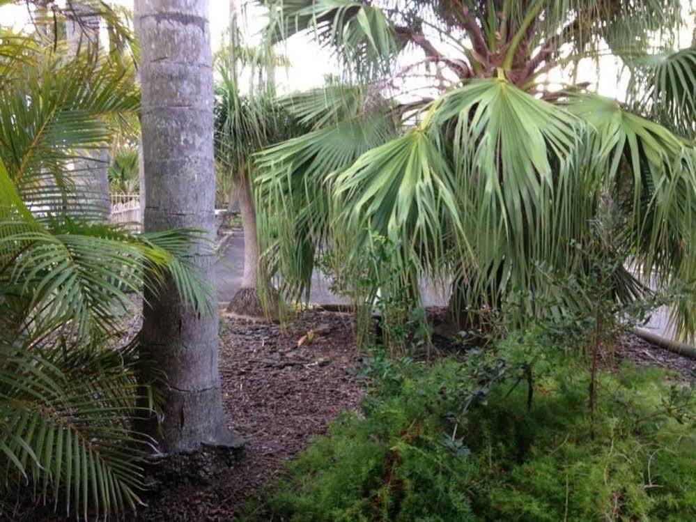 Forster Palms Motel Luaran gambar